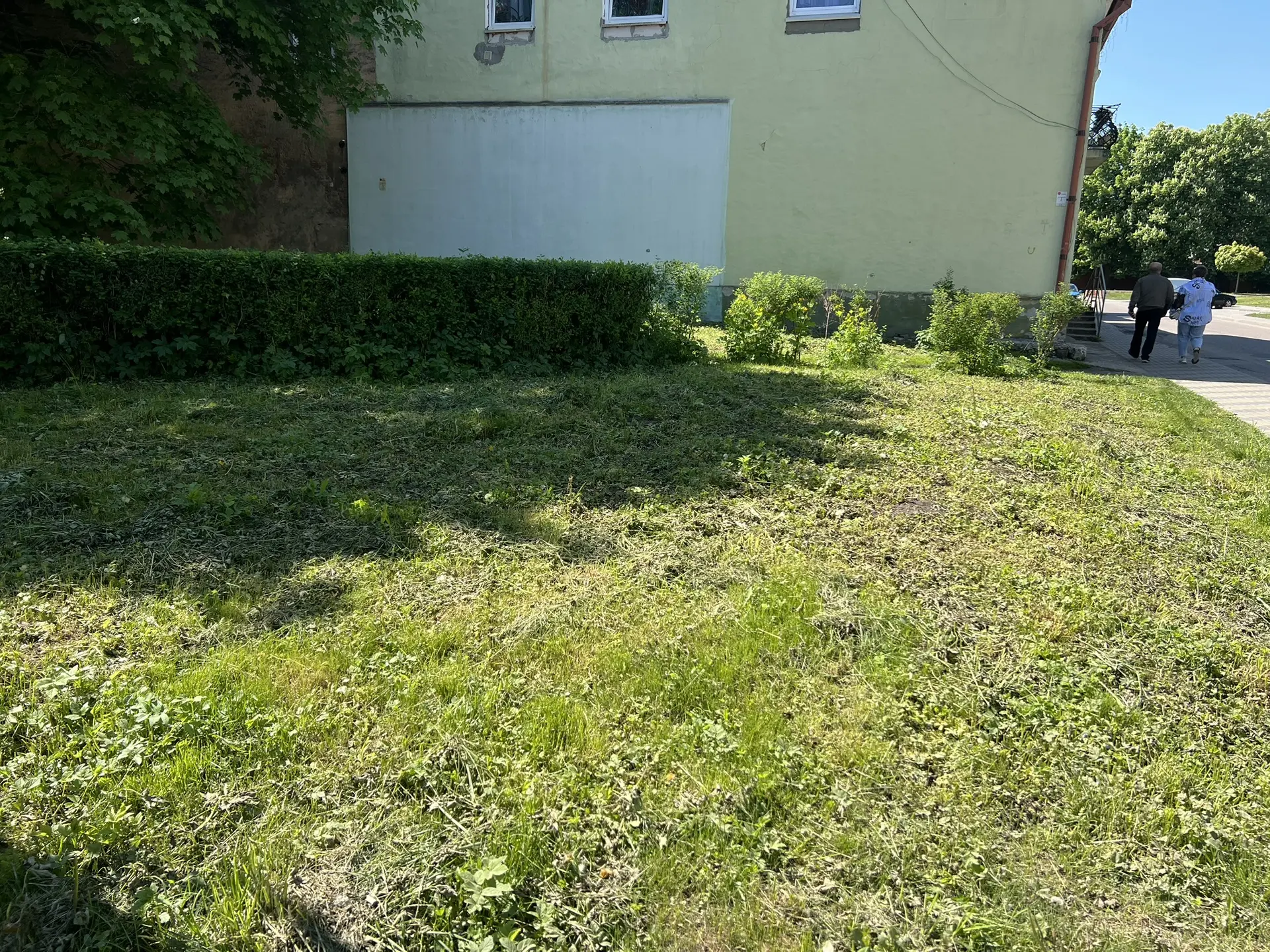 🌸В нашем городе появилась новая клумба — ещё один шаг к тому, чтобы сделать Славск красивее и уютне