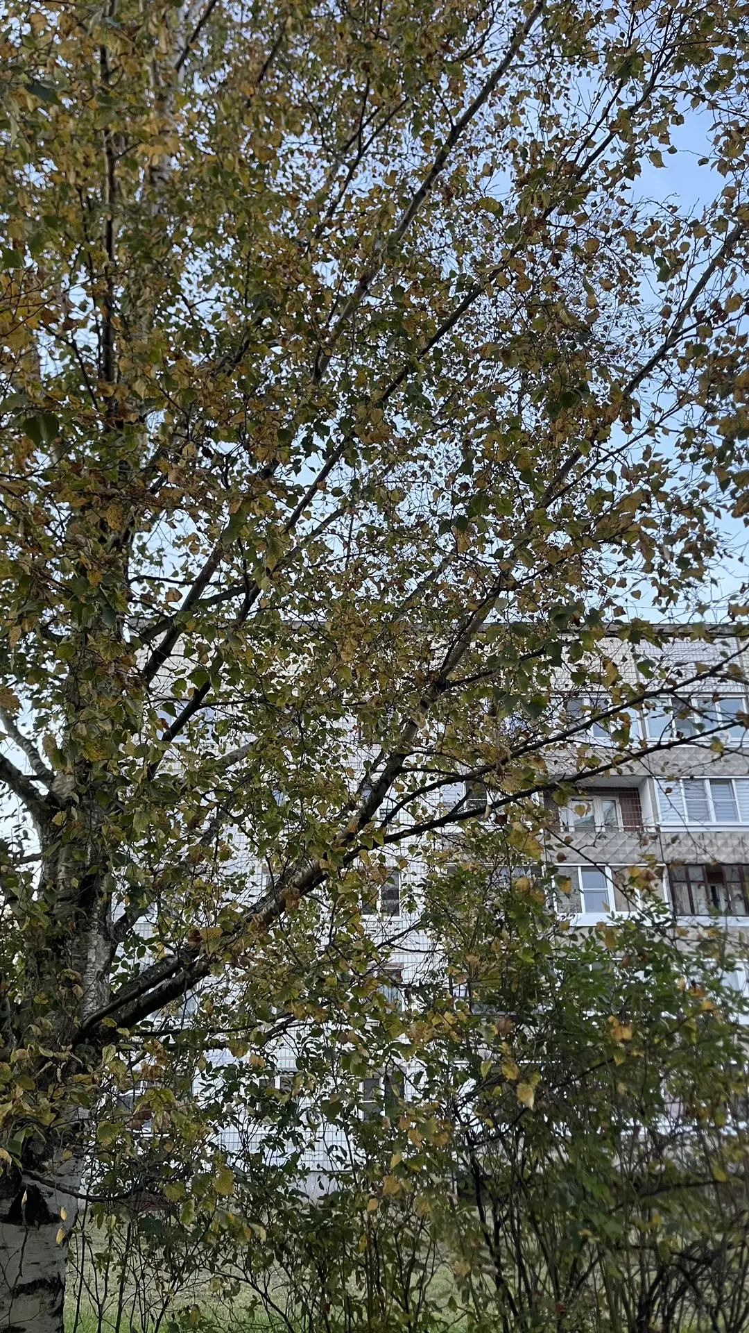 Доброе утро 🌞