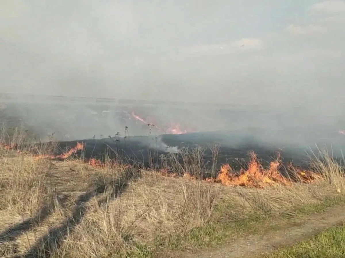 В поселке Аюта Шахт потушили крупный пожар сухой травы