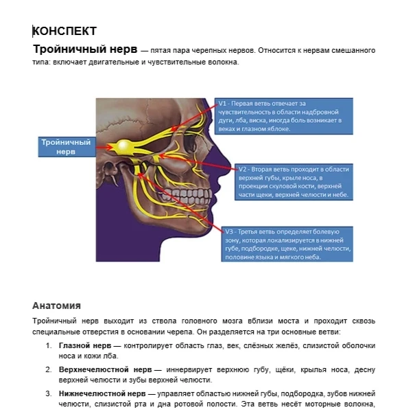 Рубрика КОНСПЕКТЫ ЛОГОПЕДА Тройничный нерв. Конспект на 4 стр скачивайте ниже. В донате этот конспек