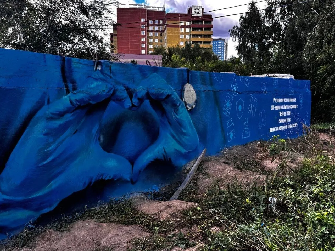 🎨 Врачебные советы на стенах: в Омске появились уникальные медицинские муралы