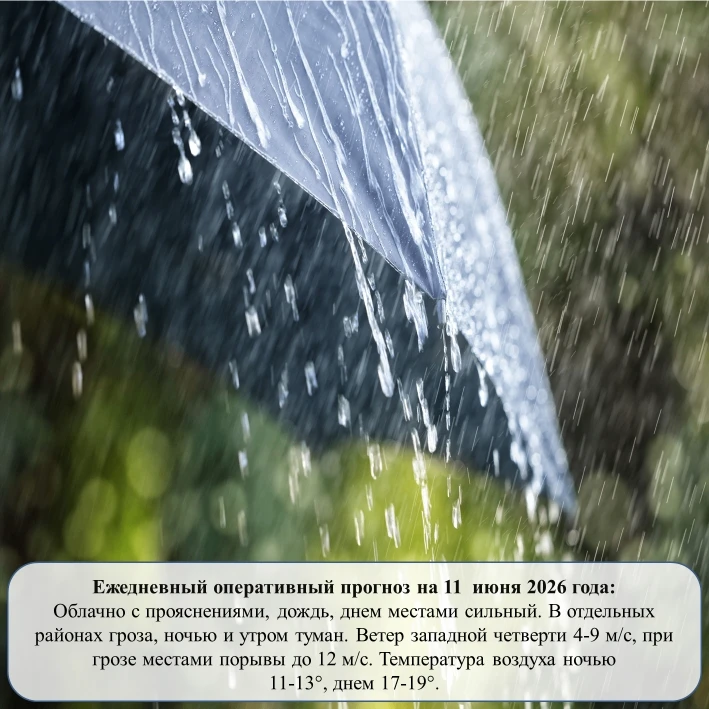 На основании ежедневного оперативного прогноза от ГКУ «ТЦМ»