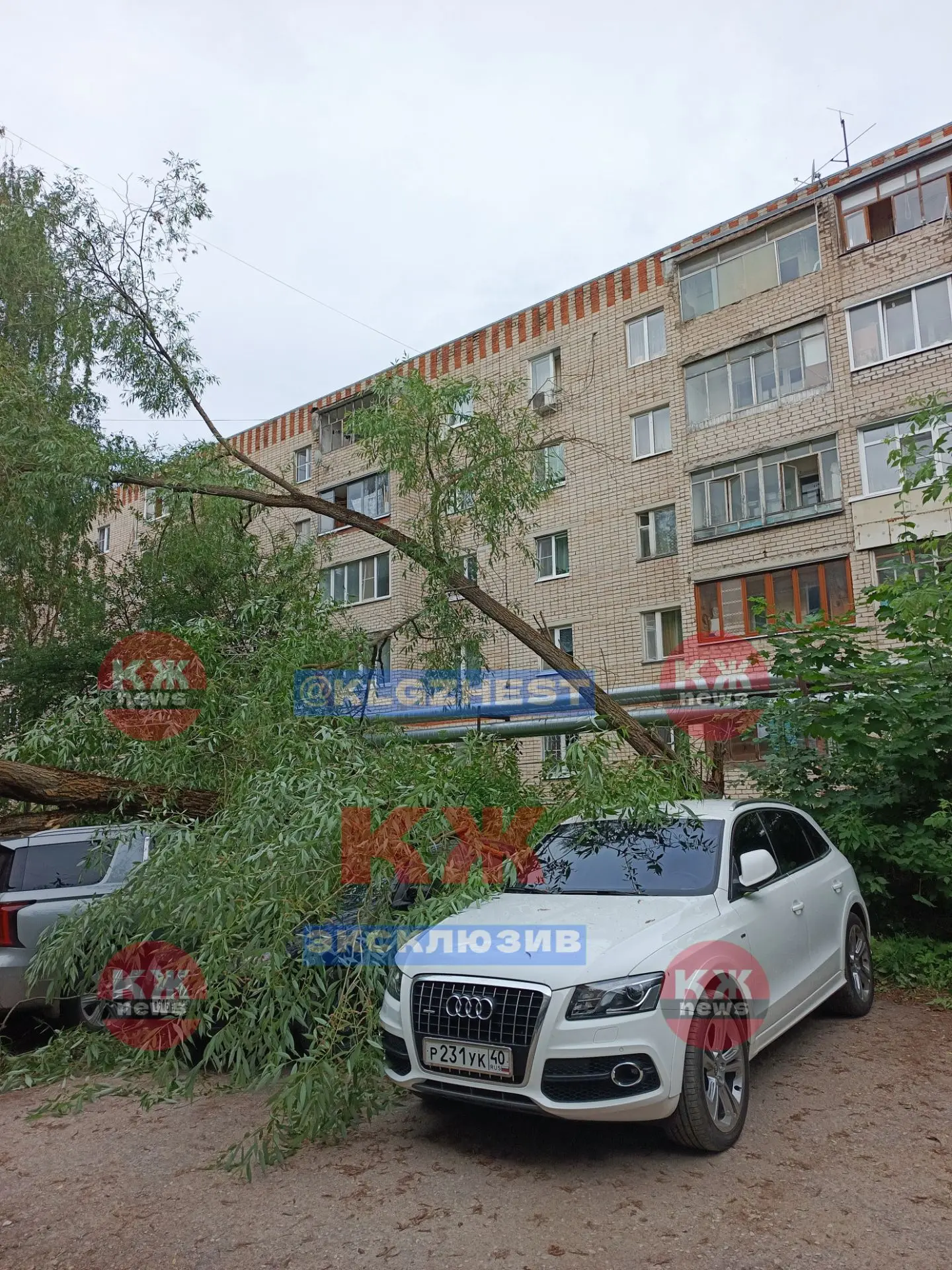 РЖД Медицина Поликлиника рухнуло дерево на машины