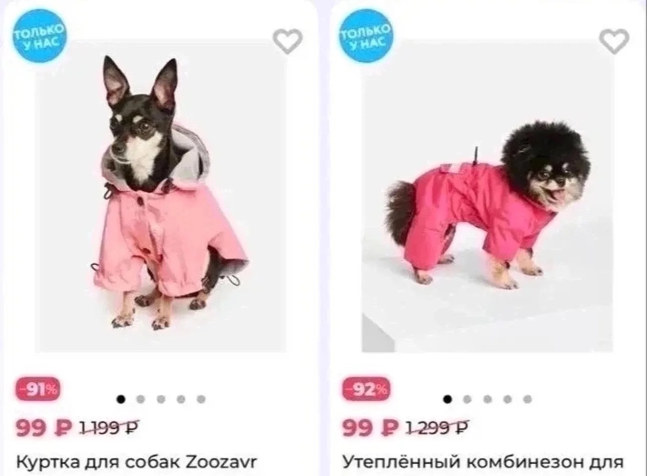 Зоозавр 🐈