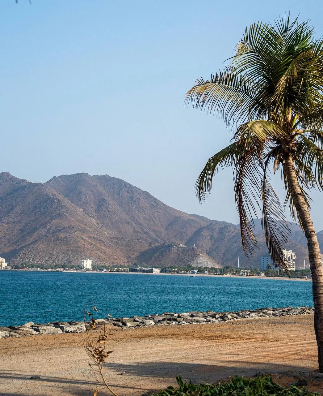 ☀️Лето — это время люксовых отелей в ОАЭ по невероятно доступным ценам!  Address Beach Resort Fujair