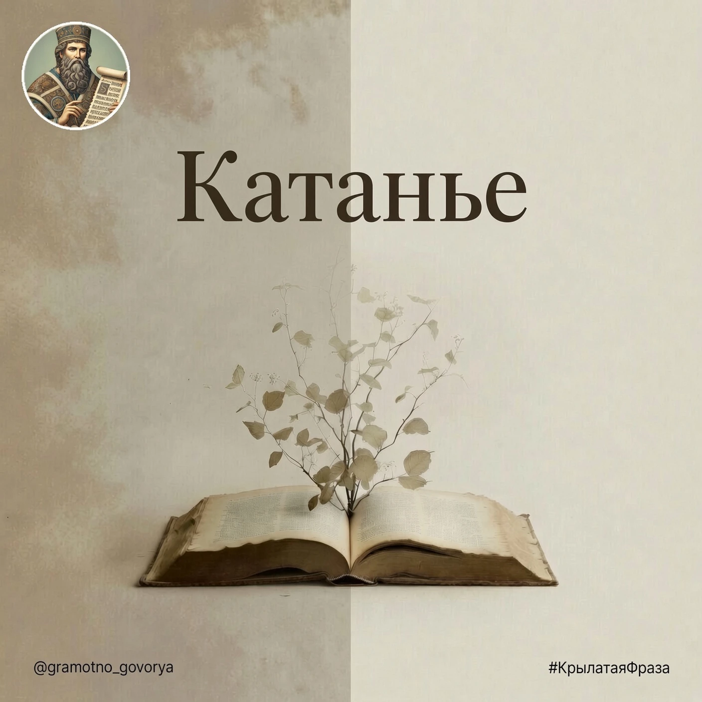«Не мытьём, так катаньем».