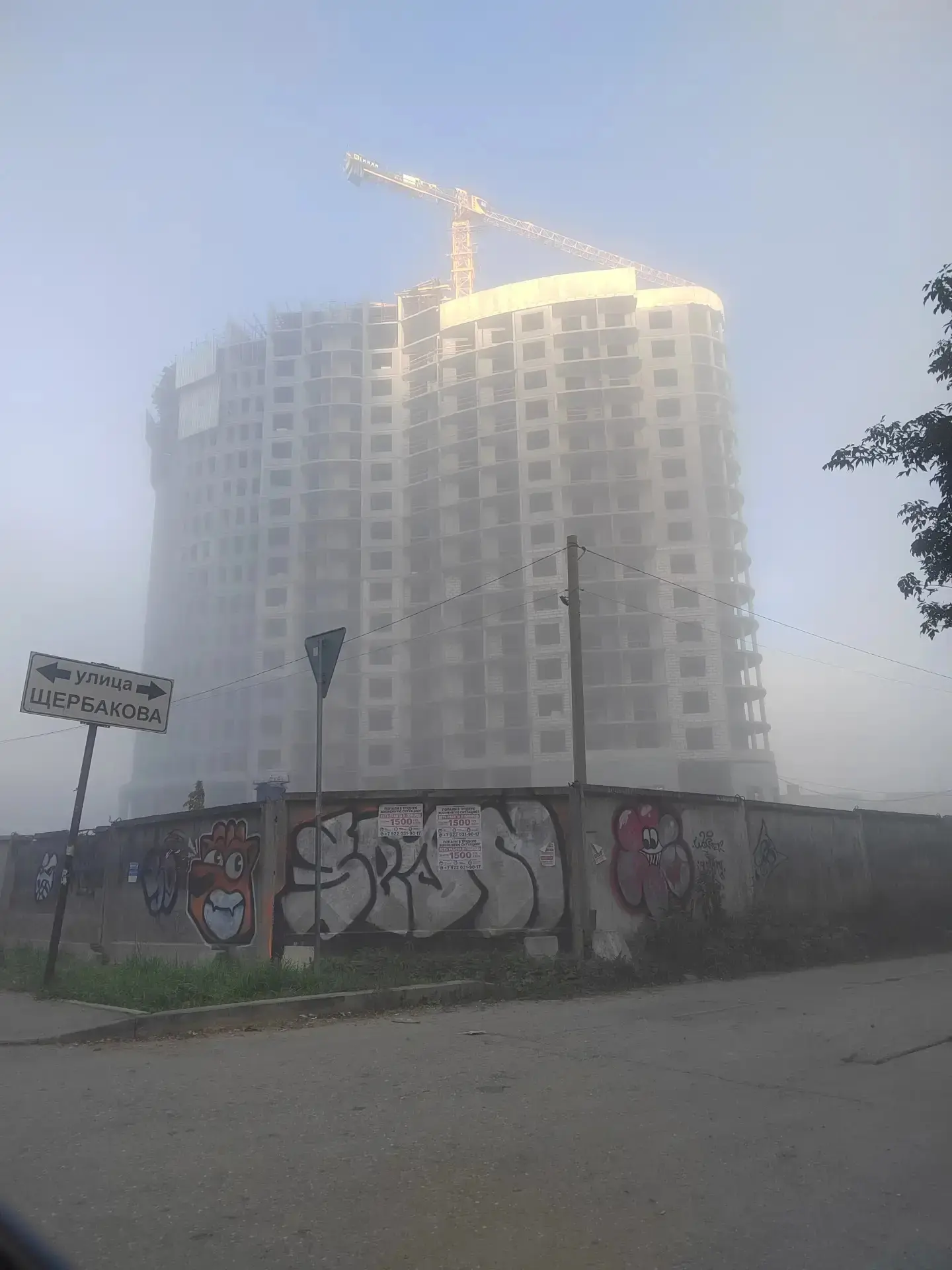 Утренний Уктус