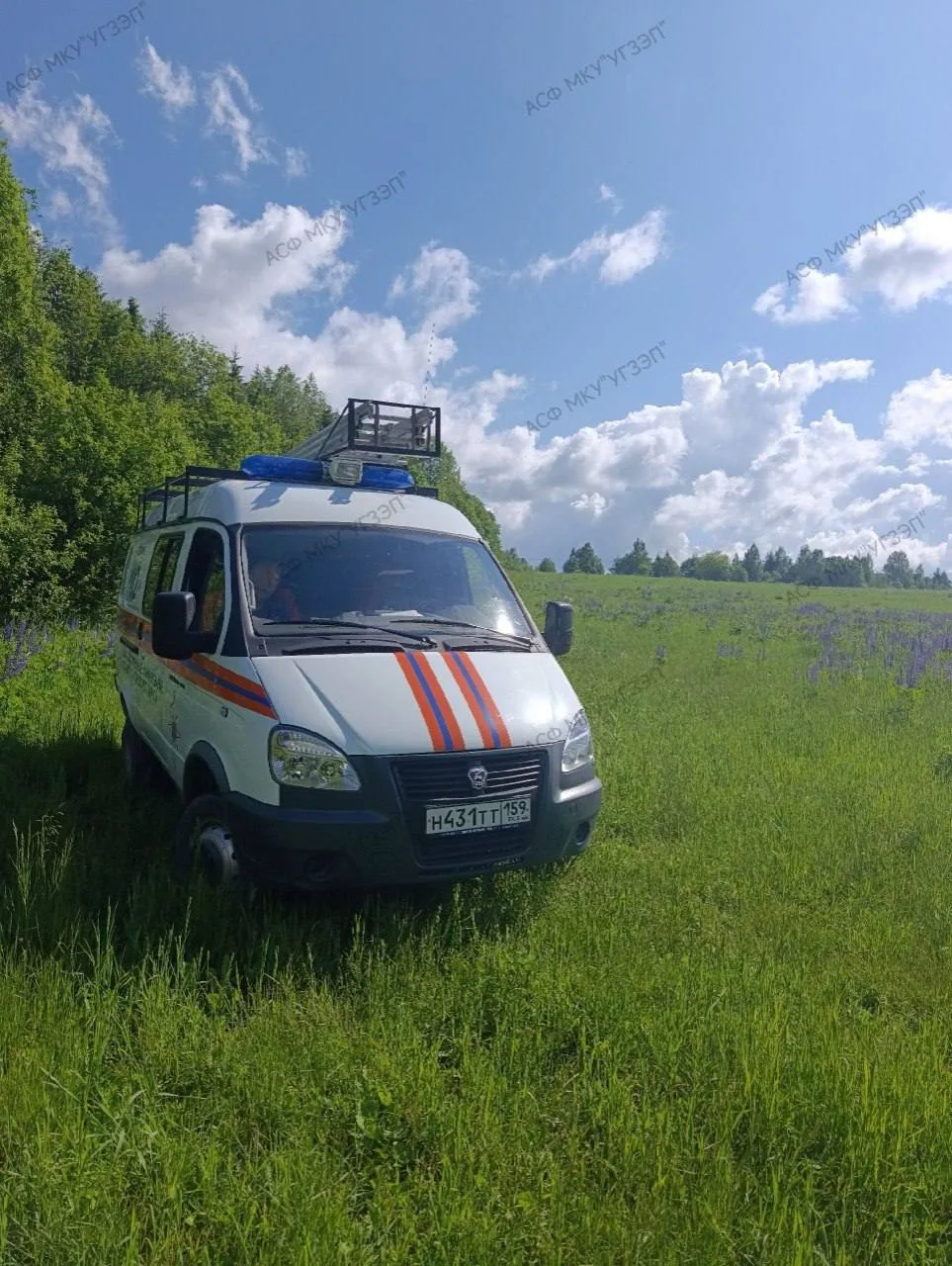 Трое грибников заблудились в лесу под Краснокамском.

Всё произошло 13 июня возле деревни Алёшиха. С
