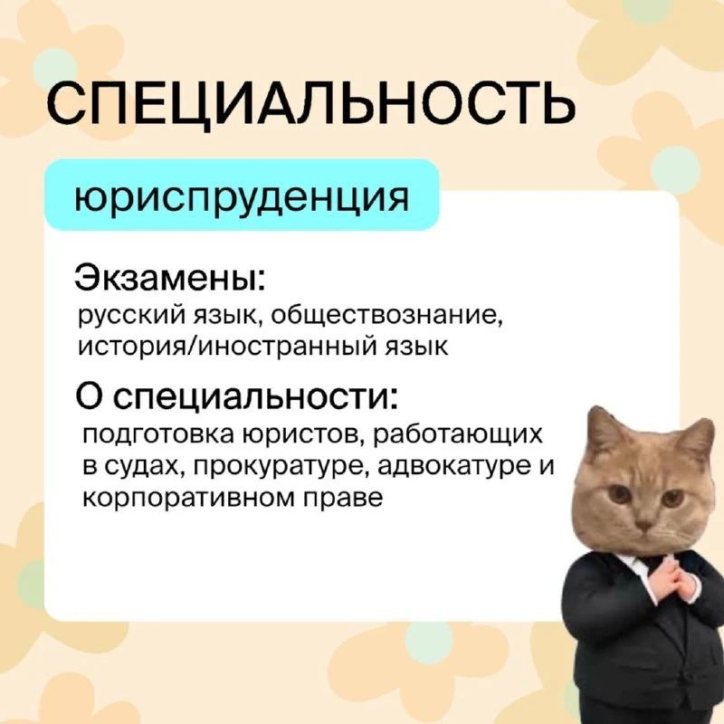 Ну что, давайте начинать знакомство с гуманитарными специальностями 😊