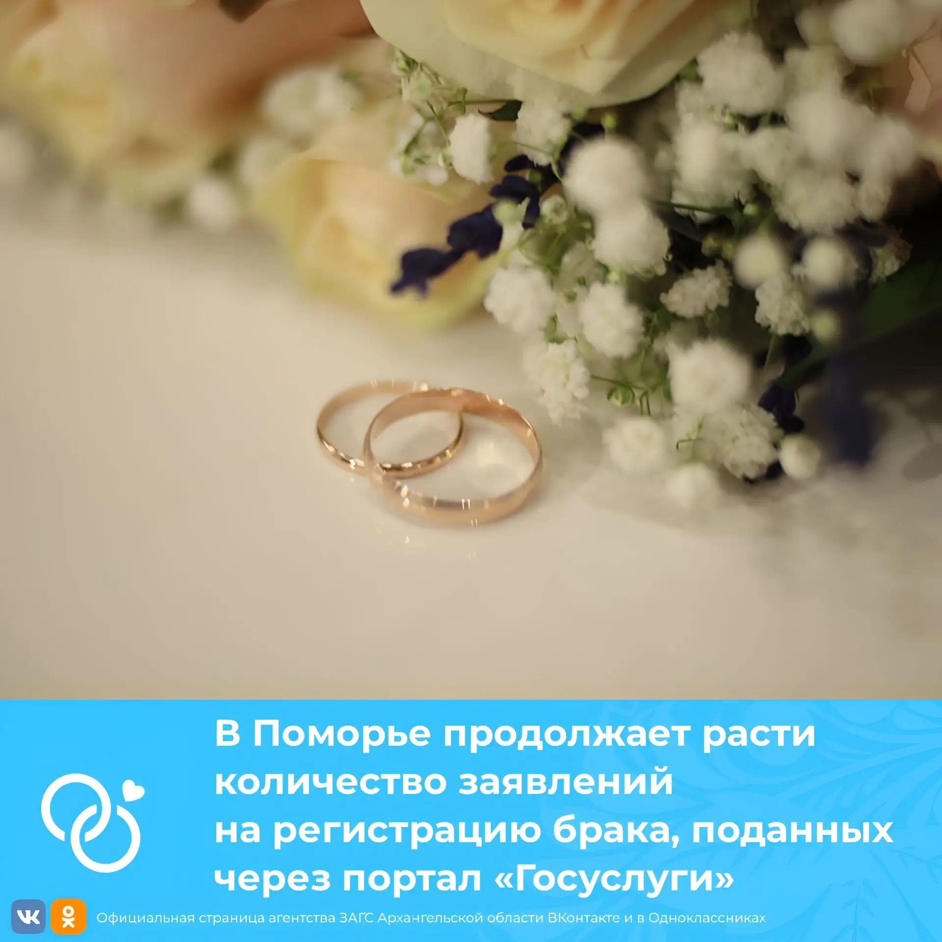 В Поморье продолжает расти количество заявлений на регистрацию брака, поданных через по...