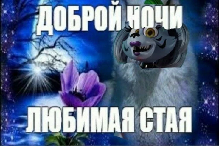 Сладких снов!