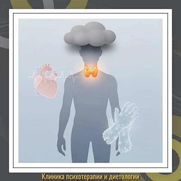 Щитовидная железа контролирует обмен веществ во всём организме. При гипотиреозе замедля...