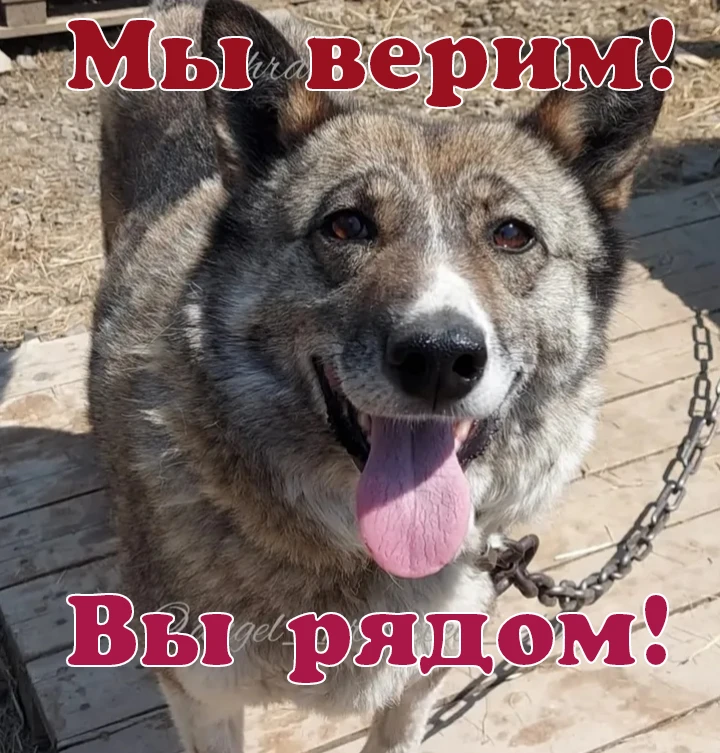 ДОРОГИЕ ДРУЗЬЯ❤️❤️❤️