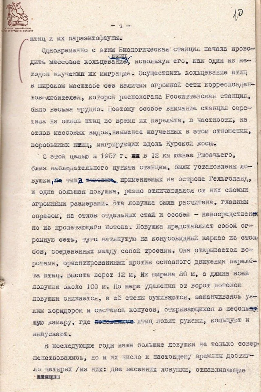 Изображение 4 к публикации «Эй, Калининград»