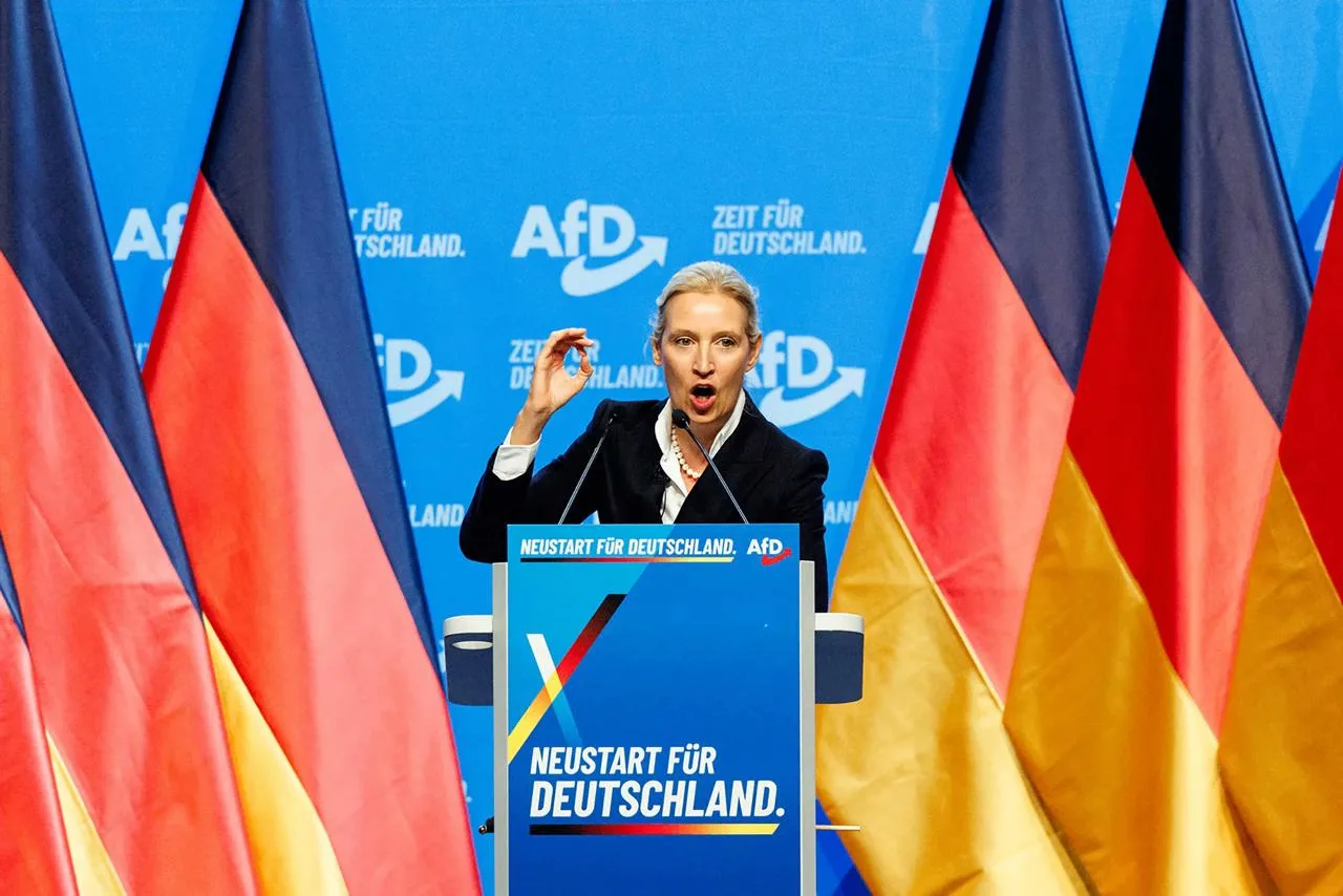 🇩🇪 Партия "Альтернатива для Германии" (AfD) может смягчить позицию по ЕС и евро