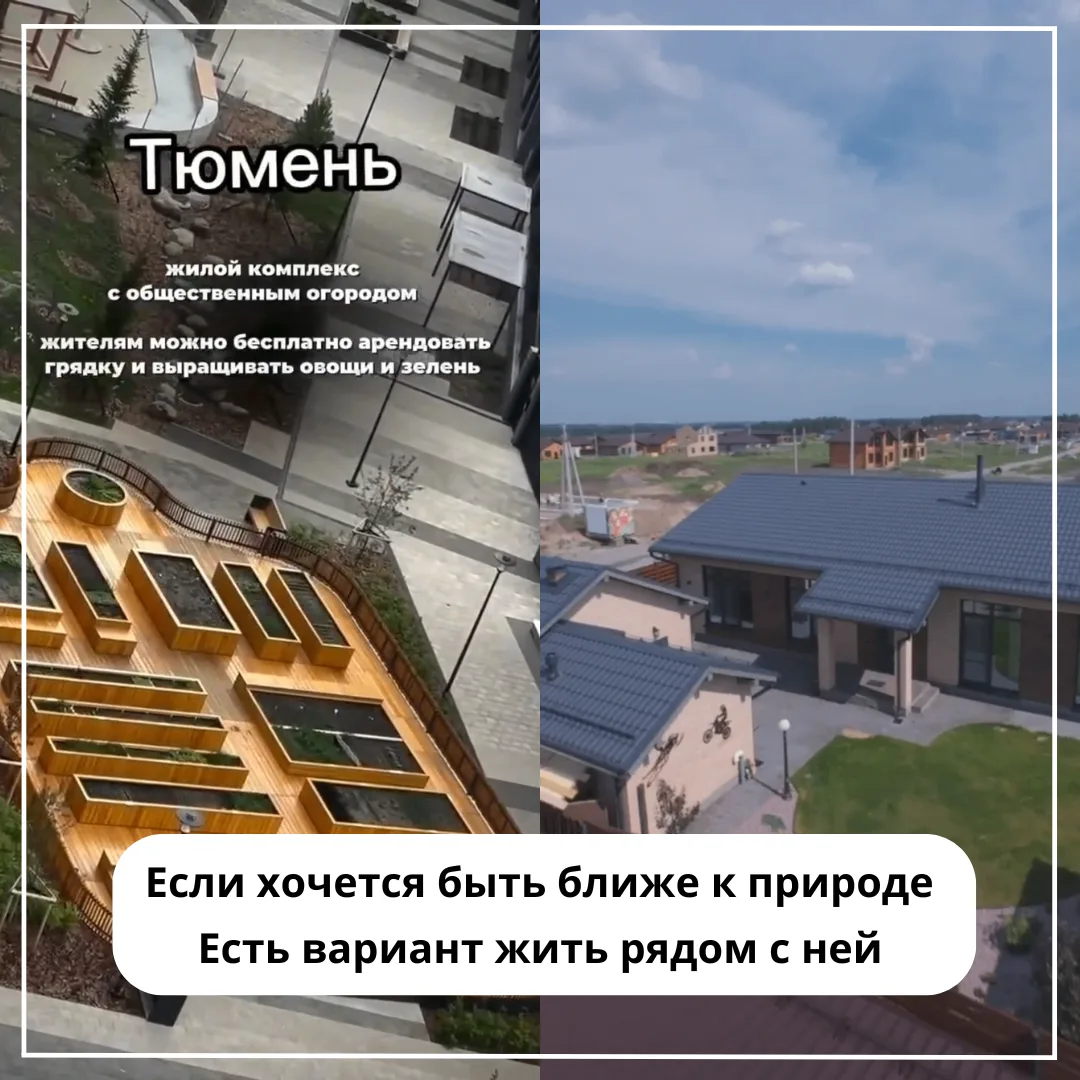 🌱Грядки возле многоэтажки. Похоже, город начинает завидовать загородной жизни.

В Тюмени один из за