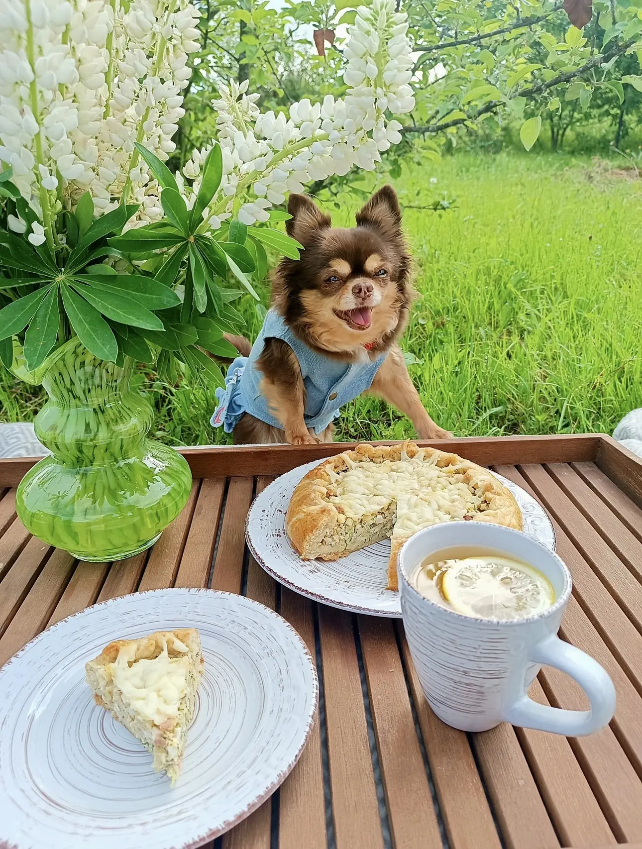 🐾👌🏻😋
-А какая у вас диета?
-Невкусное нельзя!