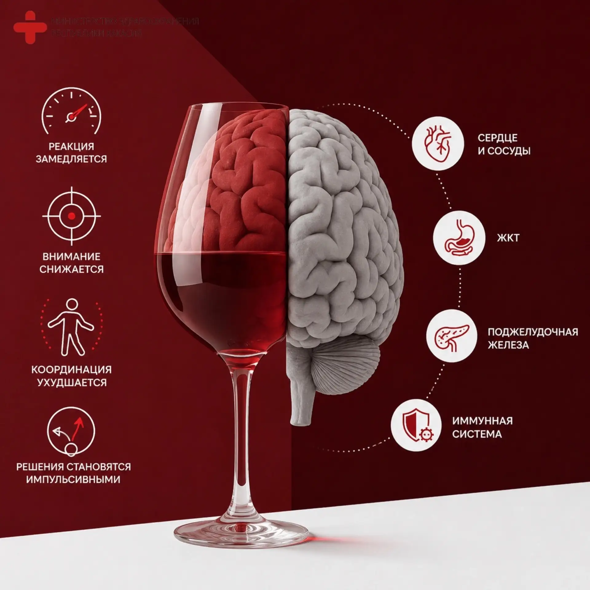 🧠 Алкоголь меняет не только настроение — он влияет на мозг
