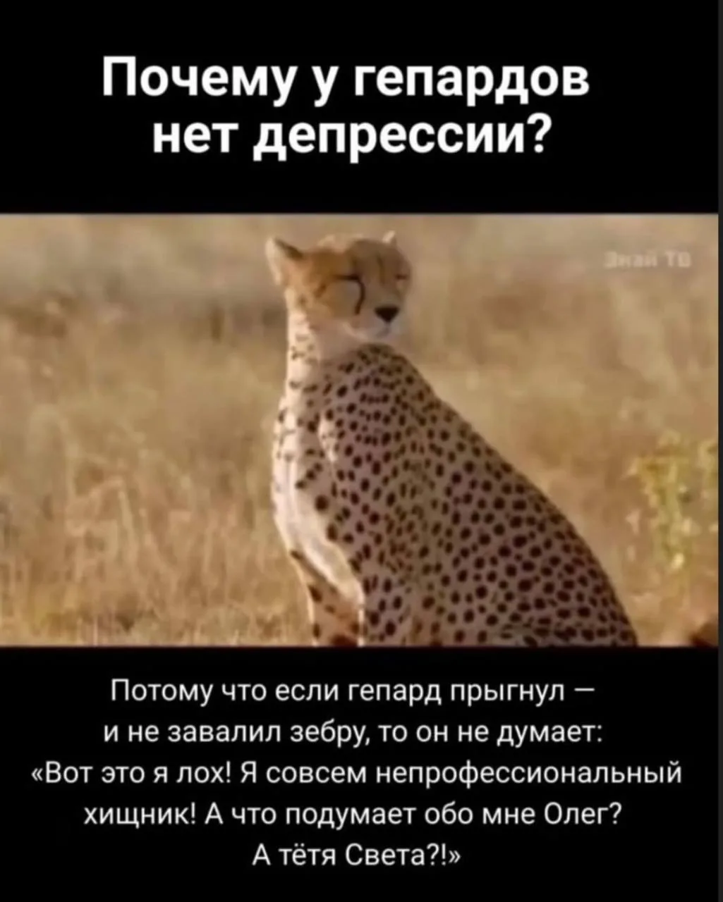 Будь как гепард!
