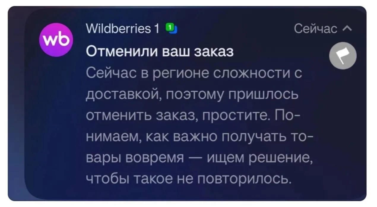 📦  «Сложности с доставкой»: пользователям Wildberries массово отменяют заказы