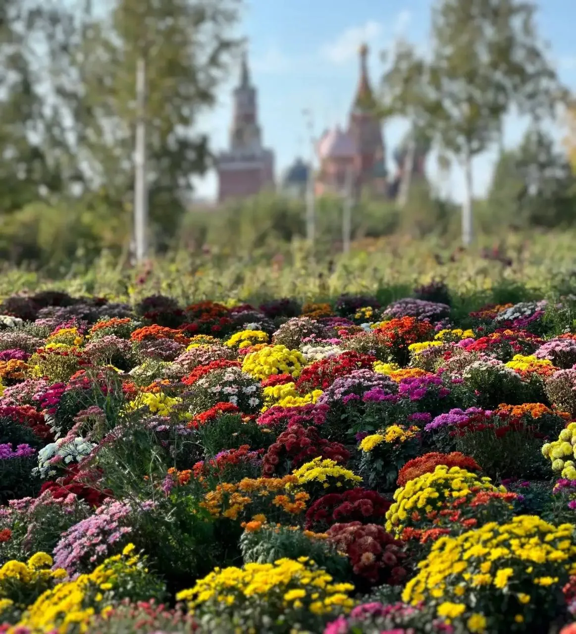 Яркий сентябрь в Зарядье