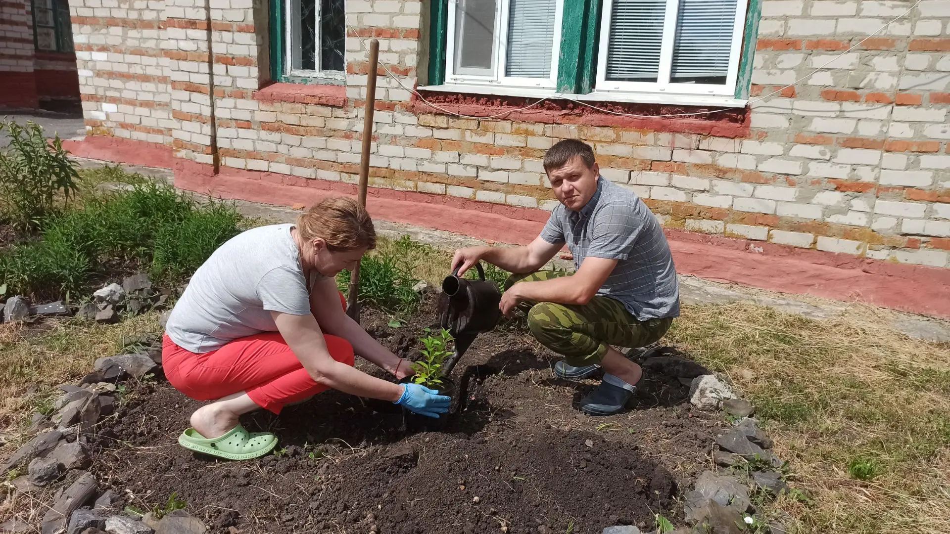 Продолжаем работу по озеленению школьной территории. Сегодня высадили два куста гортенз...