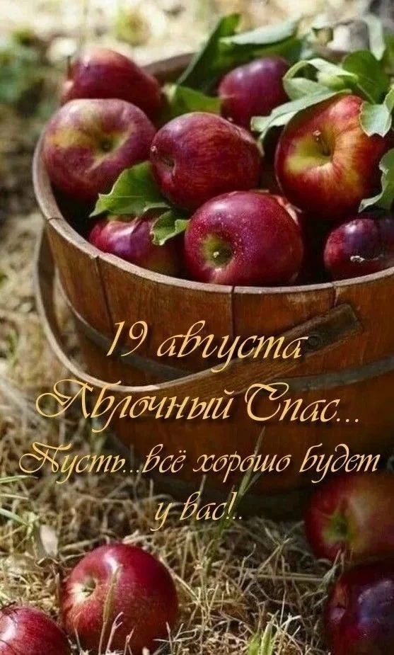 💁‍♀️ Доброе утро  19 августа