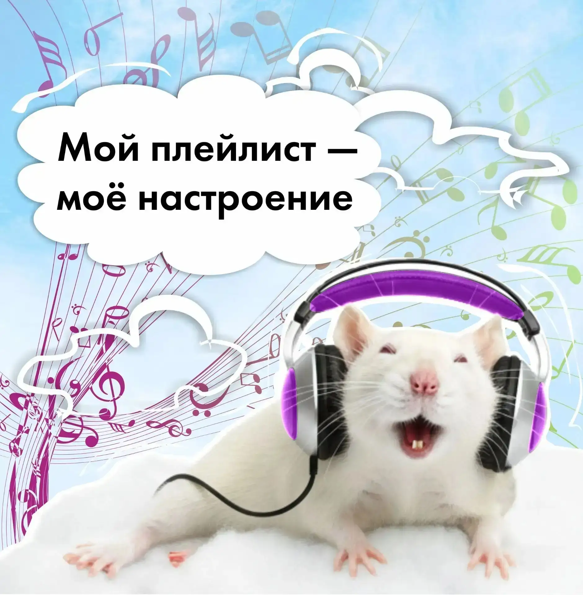 👋 Привет! Как настроение? 

У нас отлично! 

🎧 Весь день слушаем любимую музыку. 

А какую музыку 