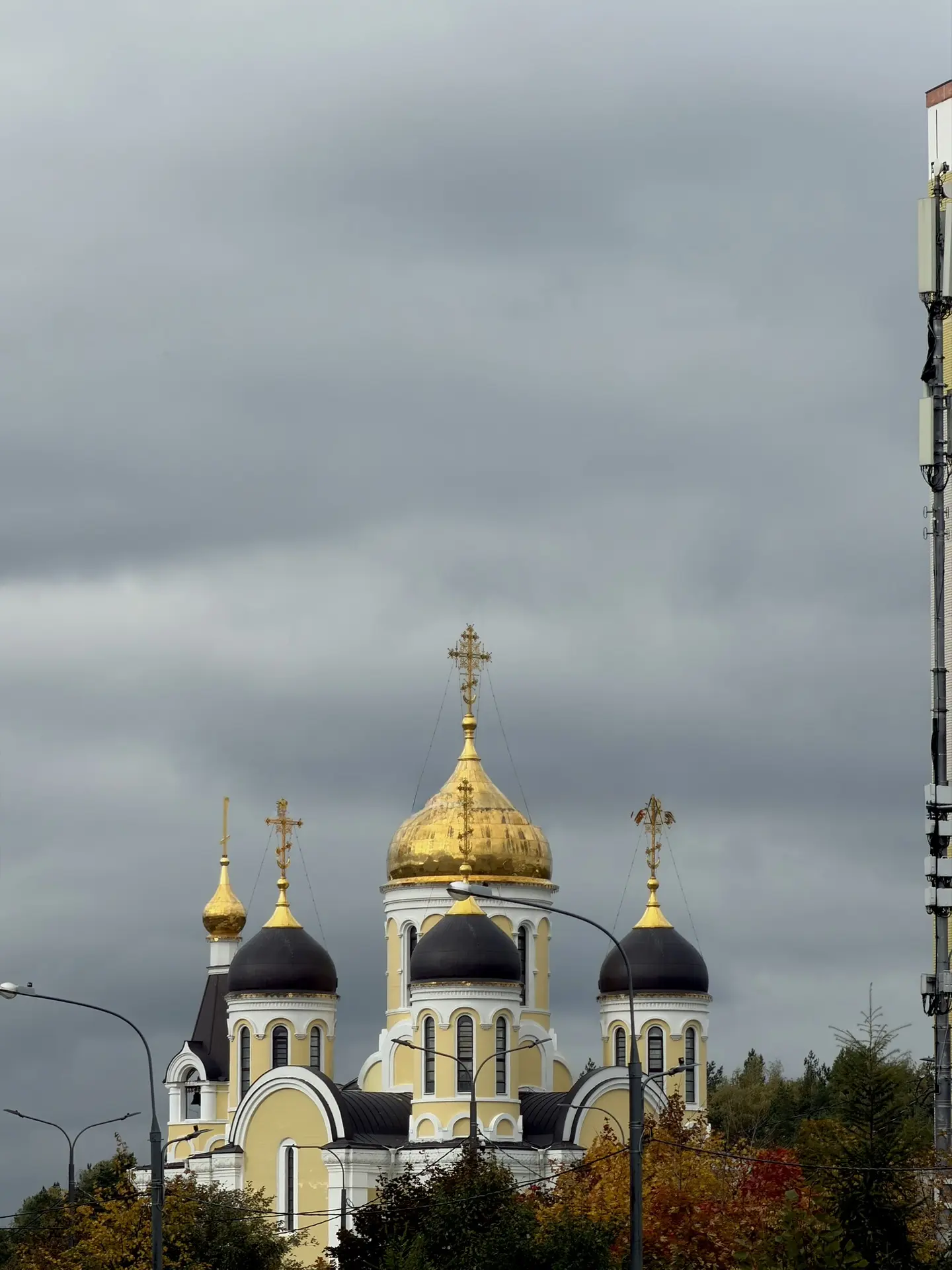 Соседи, немного красоты в ленту