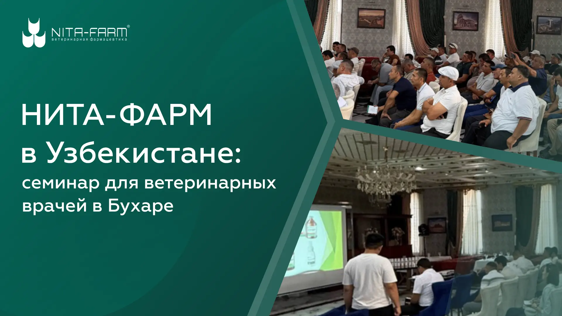 «НИТА-ФАРМ» в Узбекистане: семинар для ветврачей в Бухаре