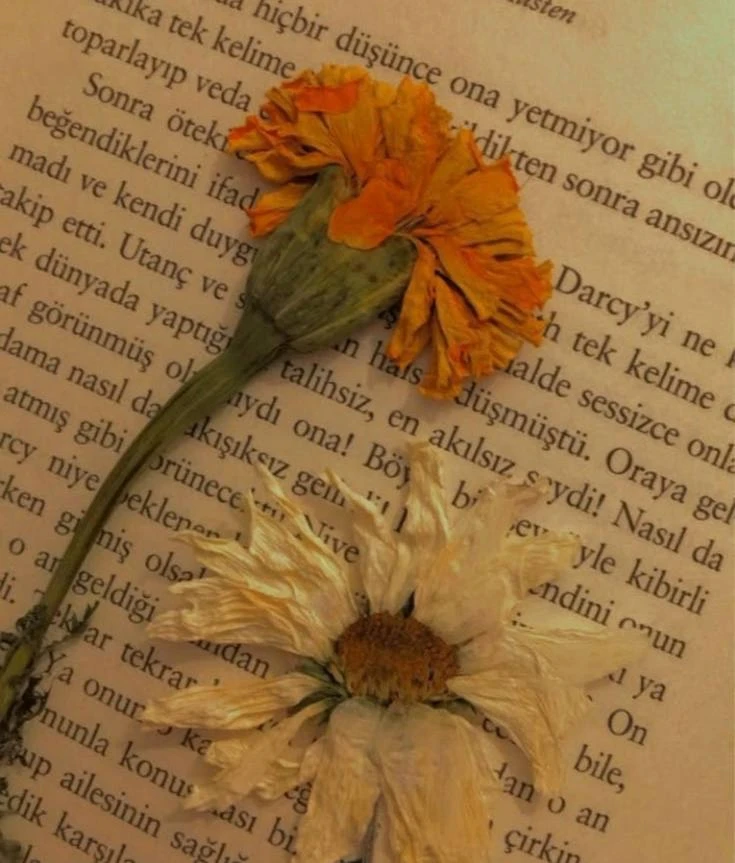 Окей
заменяем на:

🌟Добро
🌟Договорились
🌟Пусть будет так
🌟Согласен
🌟Идет
🌟Чудненько

❤️ — ещё 