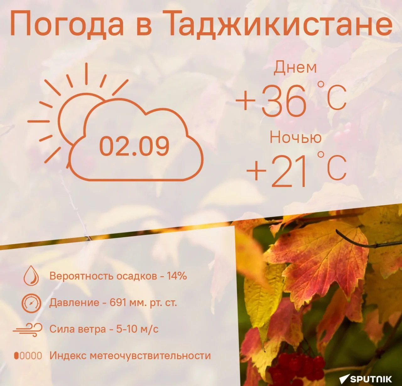 🌤 Жара и мгла сохранятся в Душанбе 2 сентября.