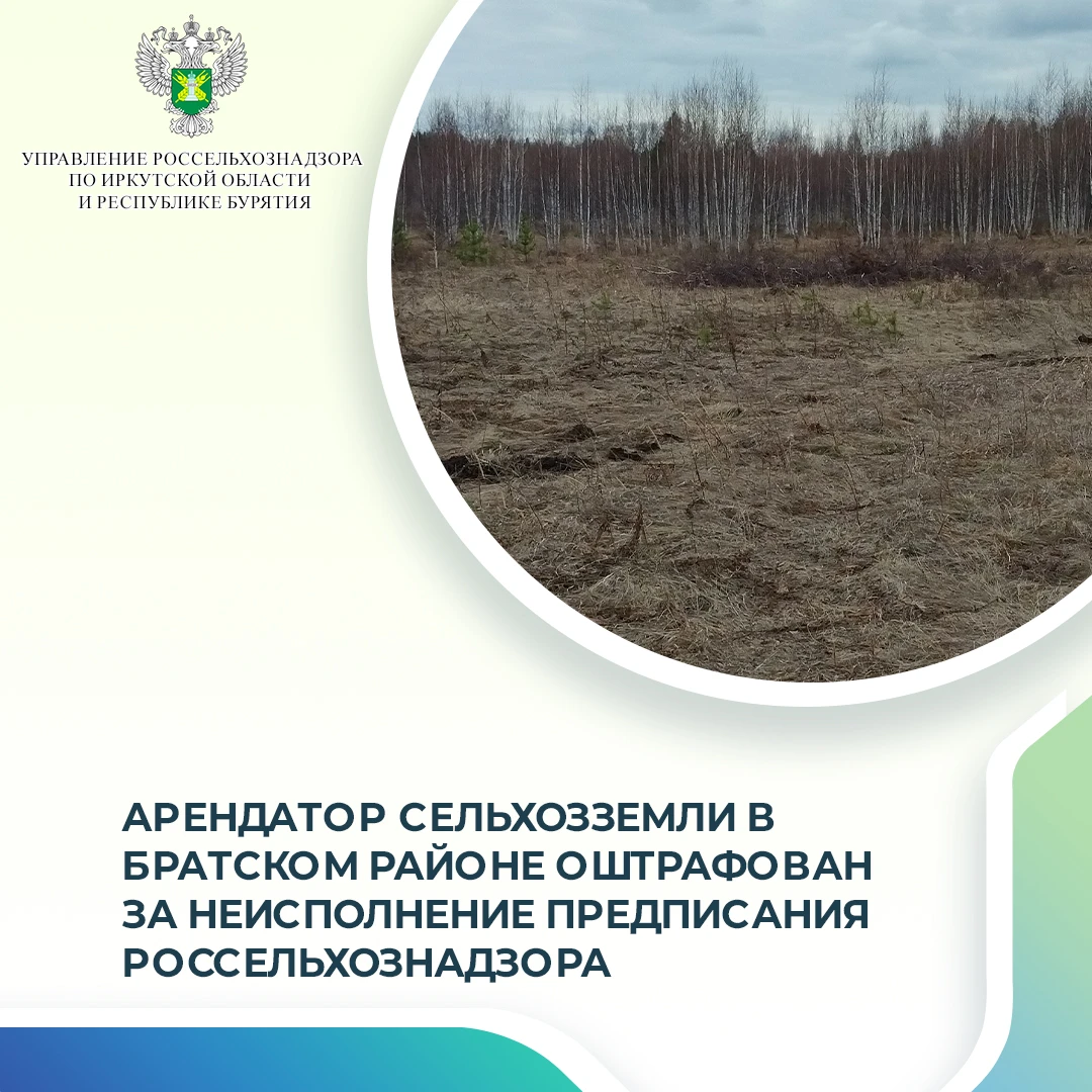 Мировой суд в Братском районе оштрафовал арендатора сельскохозяйственного участка на 10...