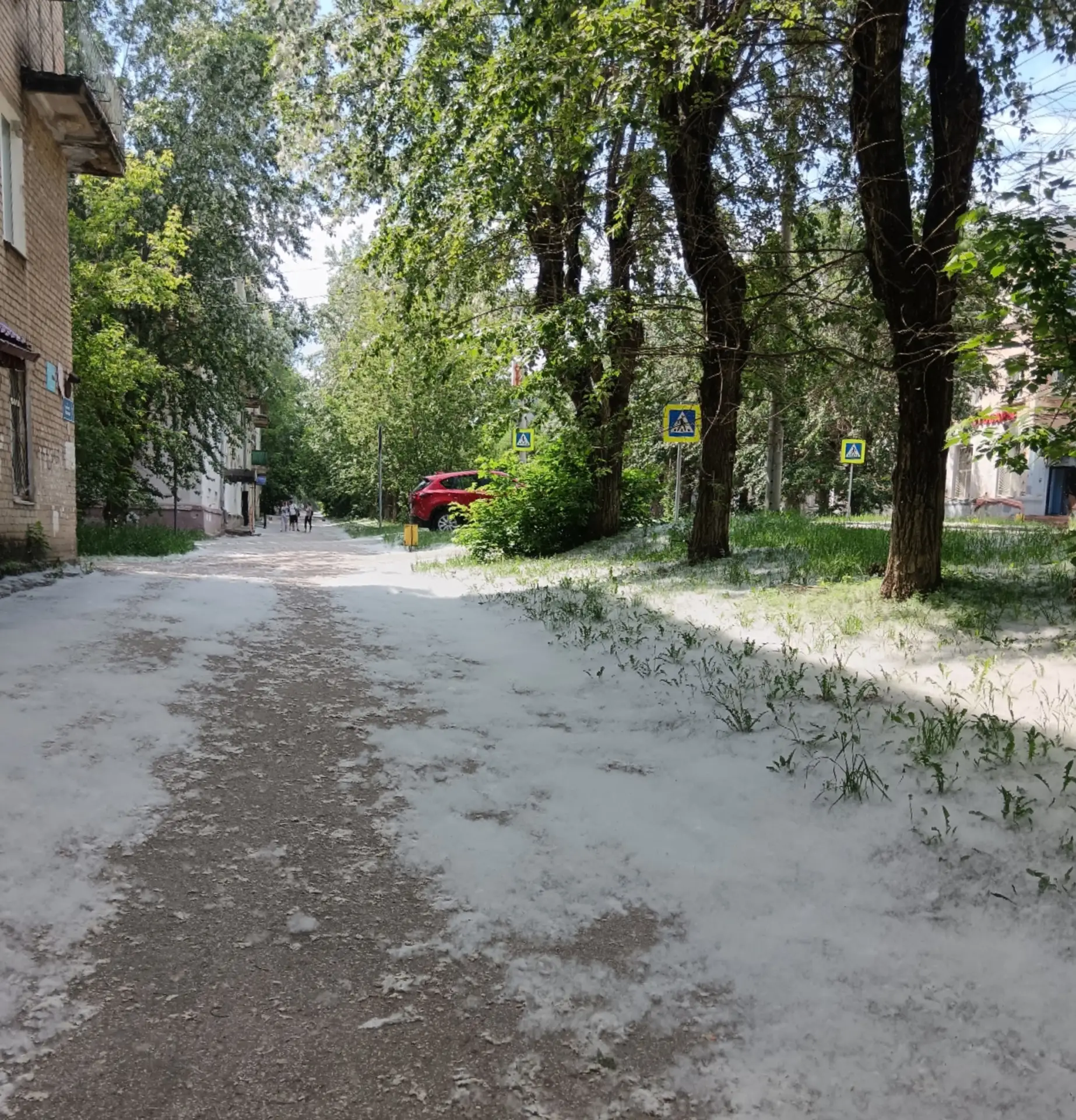 Тополиный пух на улице Адмирала Ушакова в Судозаводе. Кировский район. г.Пермь. Июнь 2026. Фото Вино