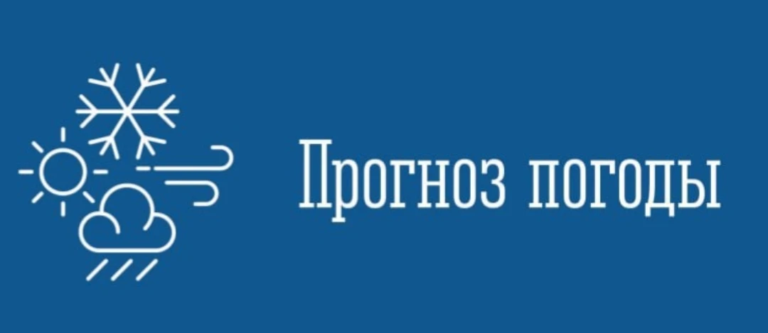 По данным ФГБУ «Мурманское УГМС» 08 сентября 2026 года местами по Мурманской области пр...