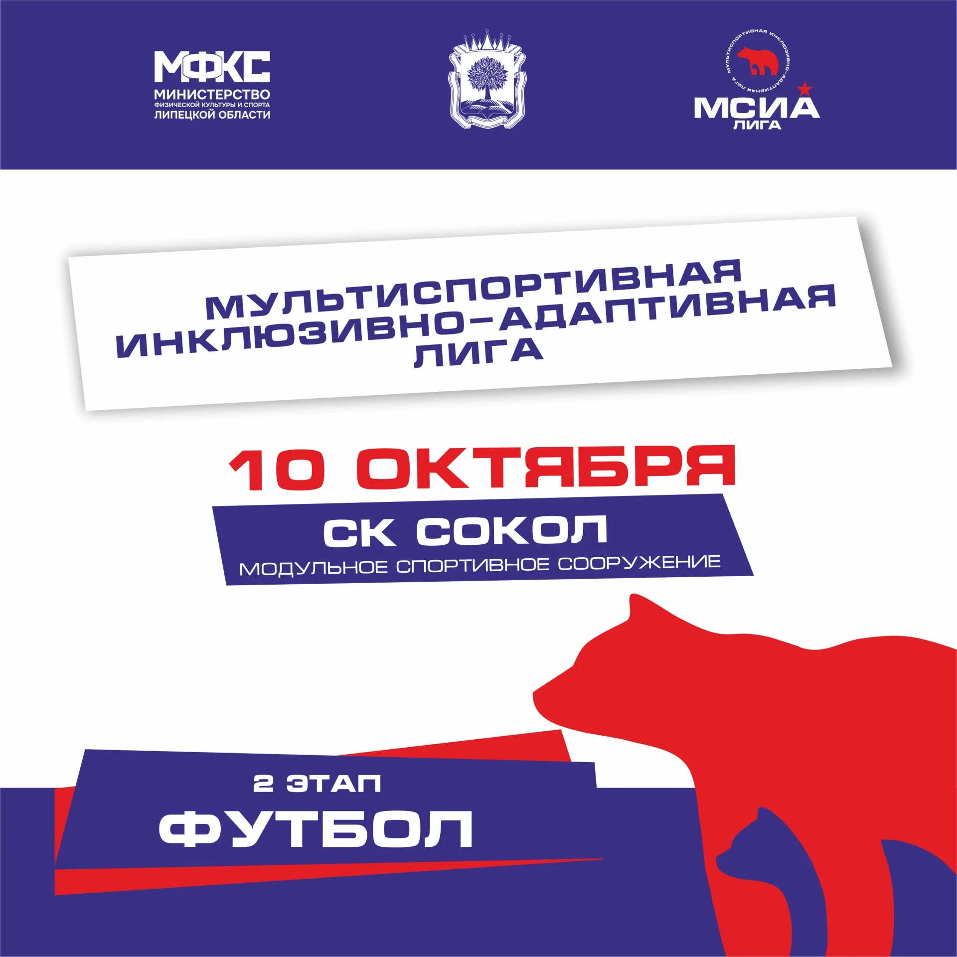 ⚽ Второй этап Мультиспортивной инклюзивно-адаптивной лиги уже совсем скоро — 10 октября!
