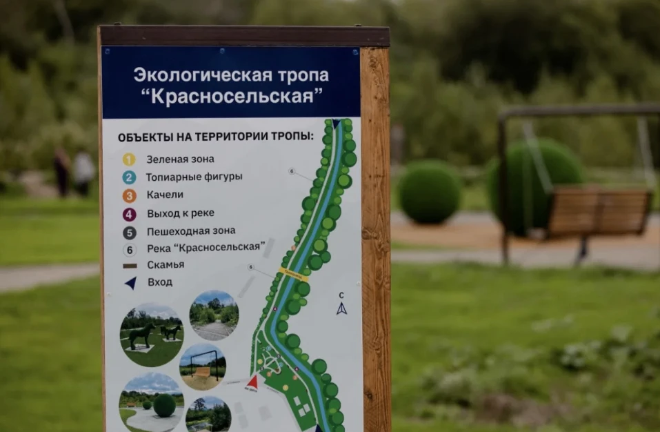 Тропу "Красносельскую" в Южно-Сахалинске облюбовали закладчики