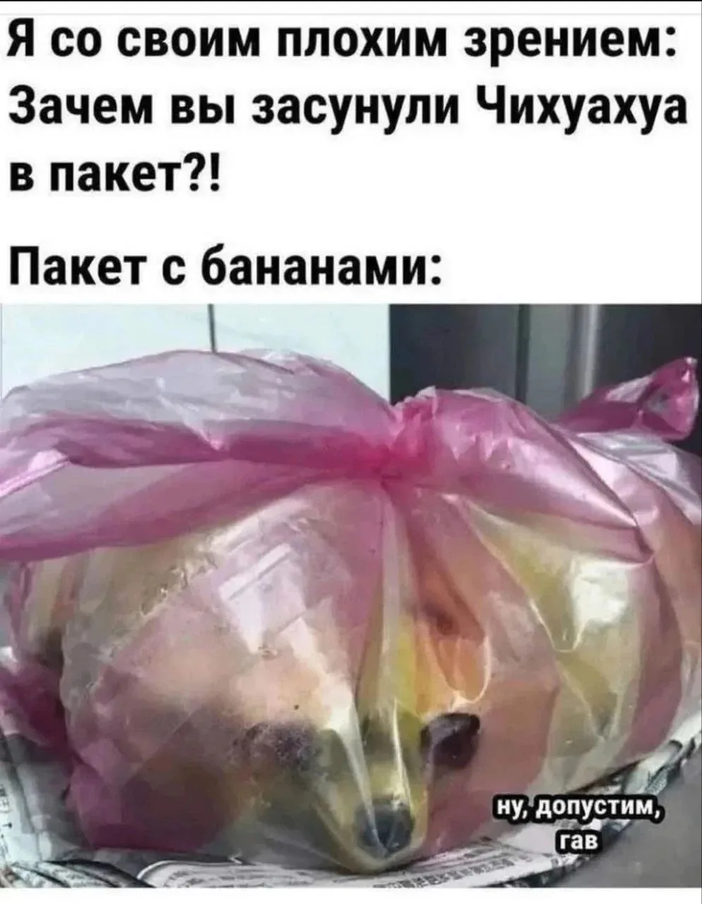 Минутка юмора для вас 😂❤️

ДАЧА СветаСаратов