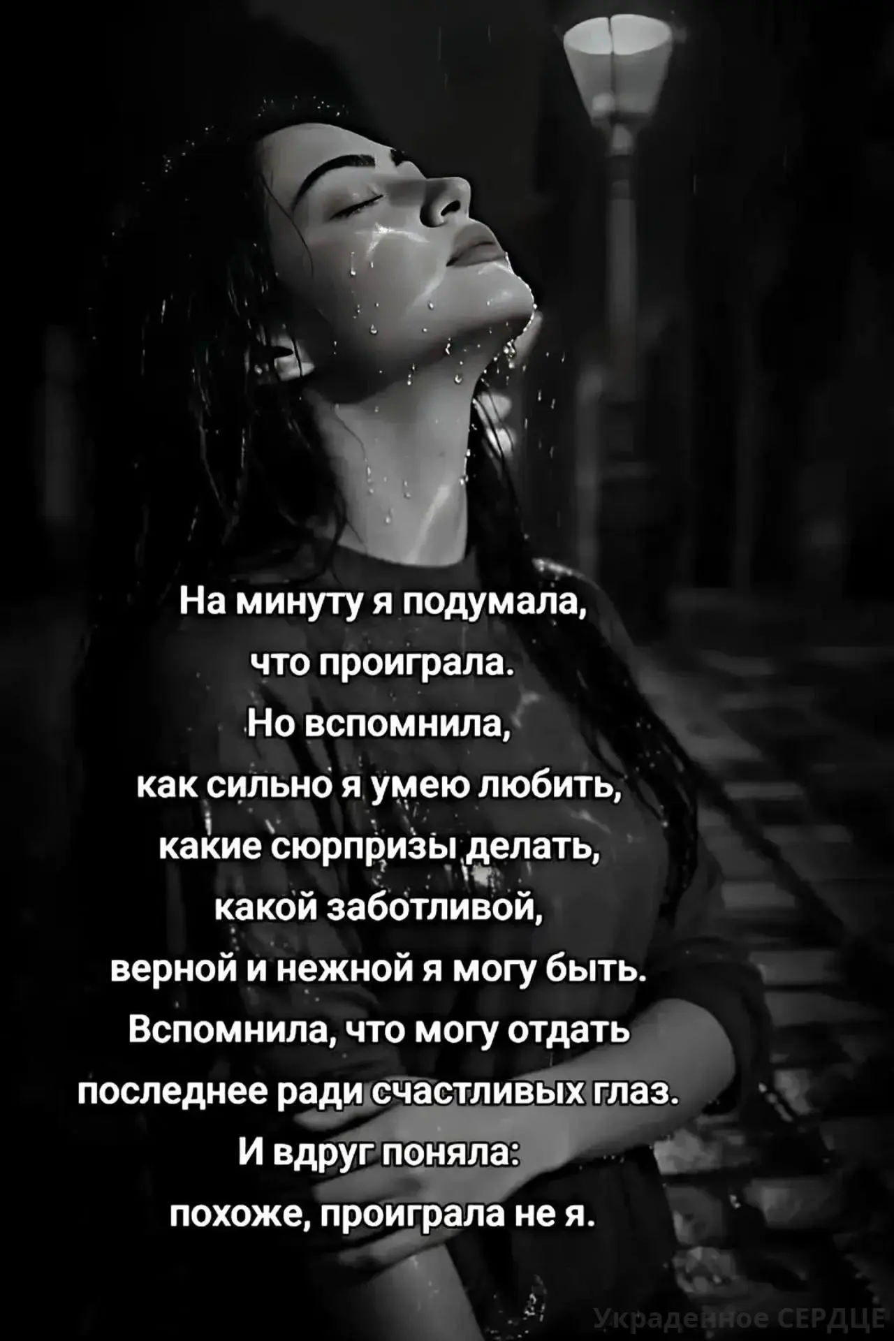 ▬▬▬▬▬▬▬▬▬▬▬▬▬