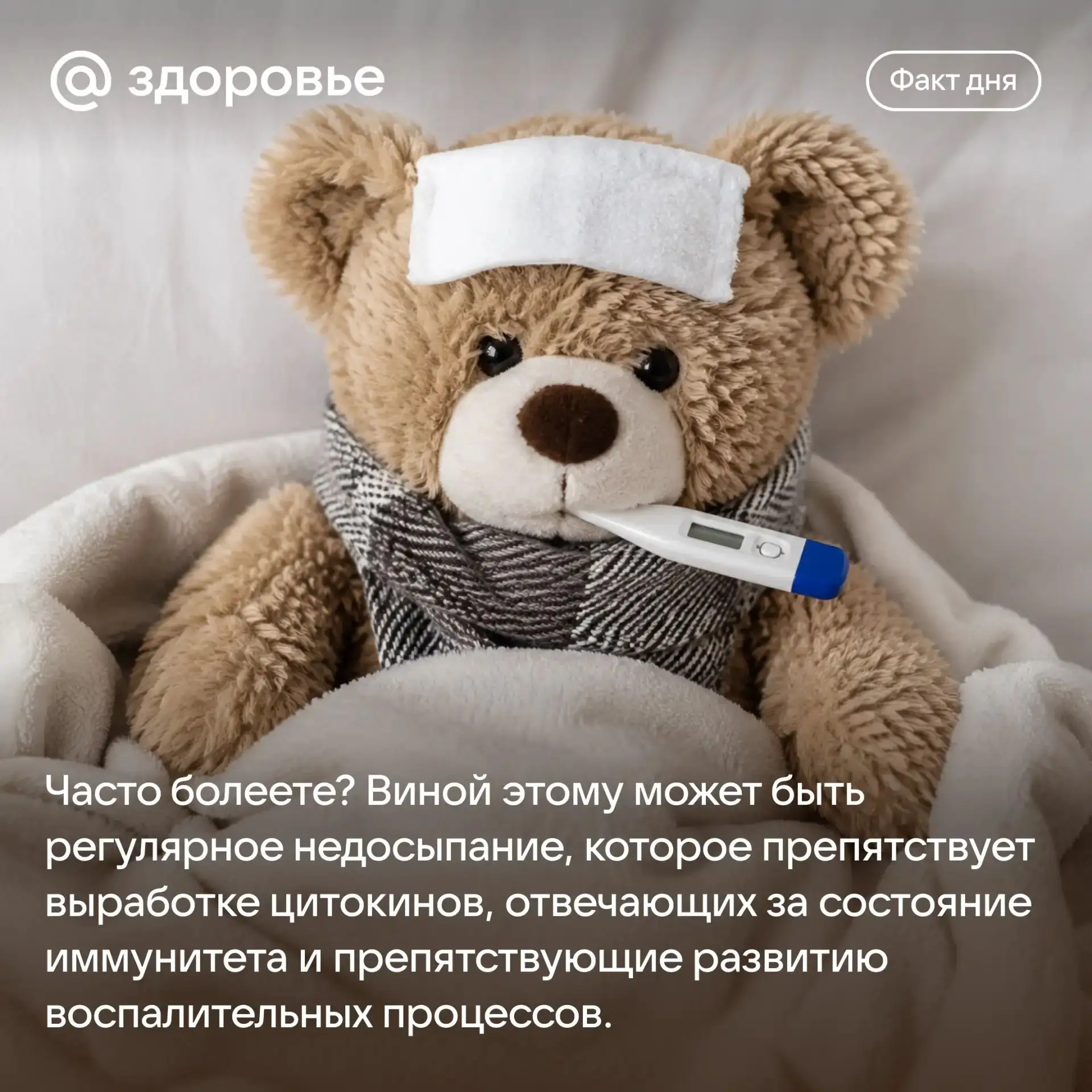 Пора готовиться ко сну.