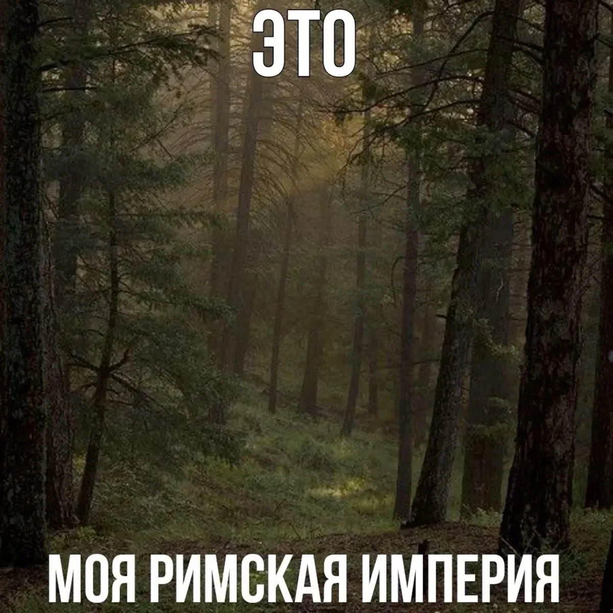 Особый противопожарный режим в Забайкалье могут отменить с 12 июня