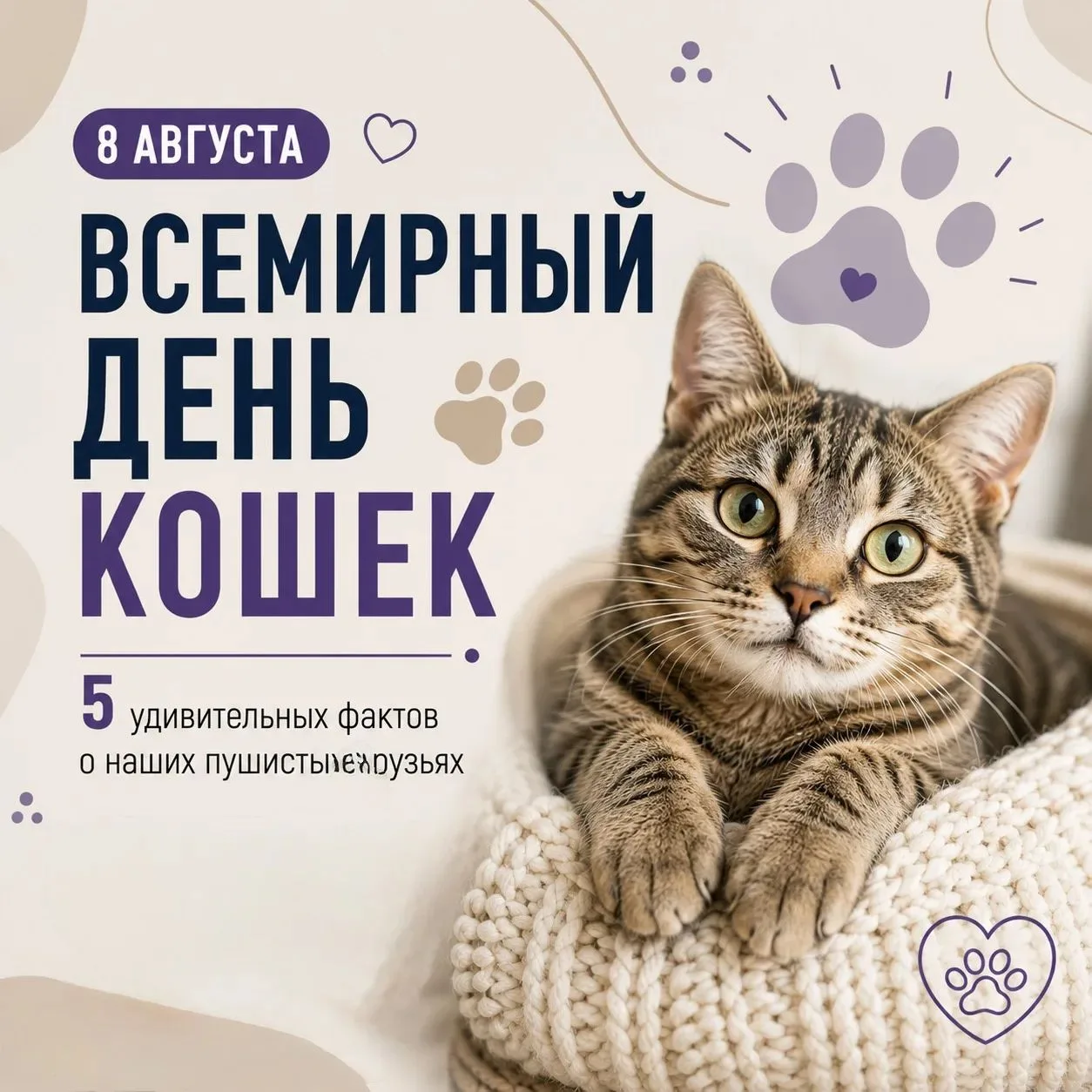 🐱 Всемирный день кошек