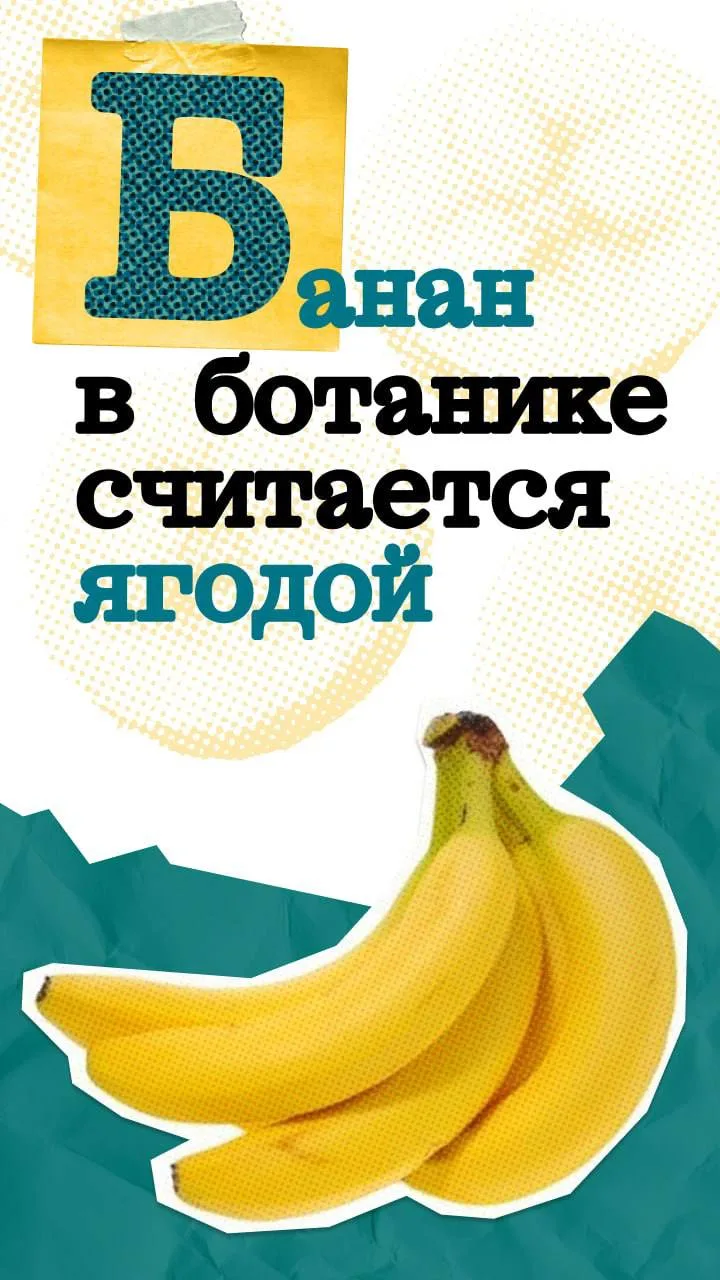 Мы едим их практически каждый день и думаем, что знаем о них всё. А вот и нет! Собрали неизвестные ф