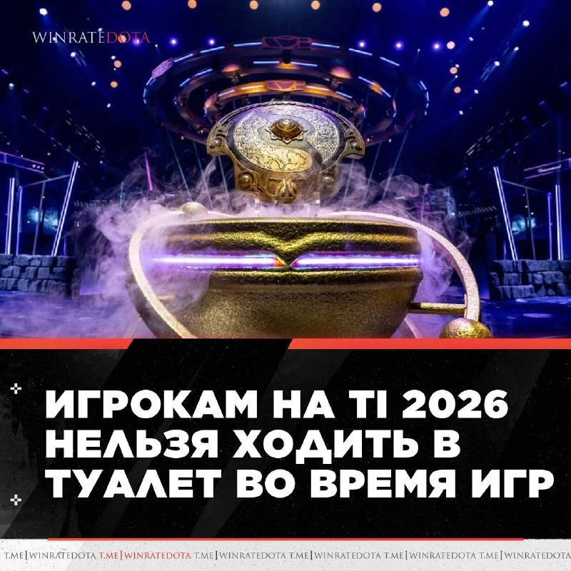 🚫 УЧАСТНИКАМ ИНТА НЕЛЬЗЯ ХОДИТЬ В ТУАЛЕТ?

Организаторы TI ввели строгие правила, запрещающие участ