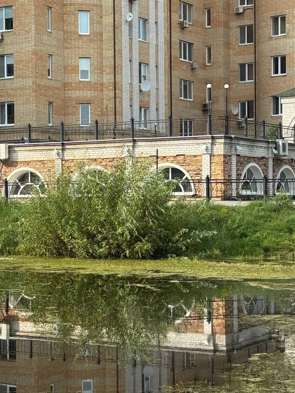 Школьный карьер. Наглядный маркер воды «соответствующей нормам». На поверхности несколько мертвых пт