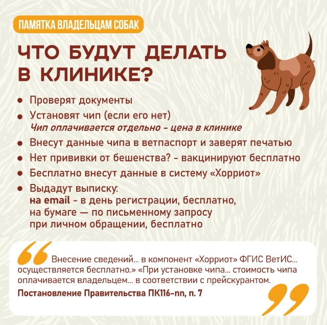 📣 А у вас дома живет собака? Тогда вам нужно ее зарегистрировать! ⁣ Процедура обязательна вне зависи