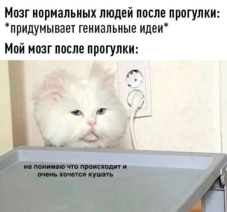 Быстрая прогулка — лучший способ забустить креативность. Австрийские ученые выяснили, ч...