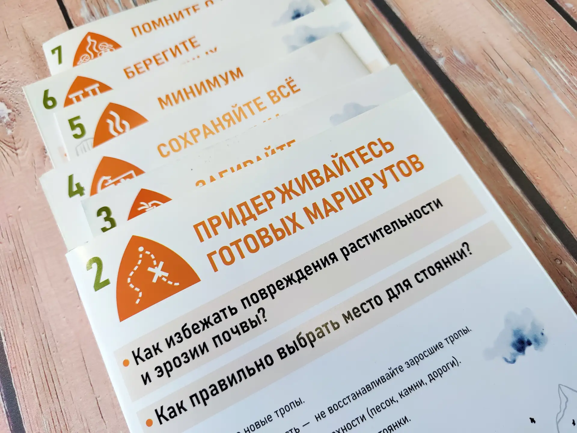 Продолжаем разбирать принципы экологического поведения туриста «Уважай природу»🌱