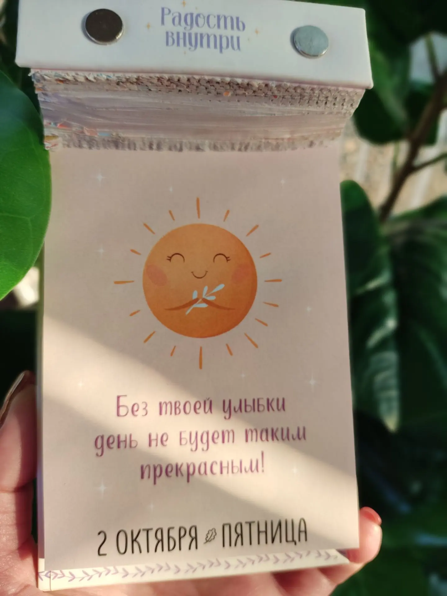 #Радостьвнутри 🫶