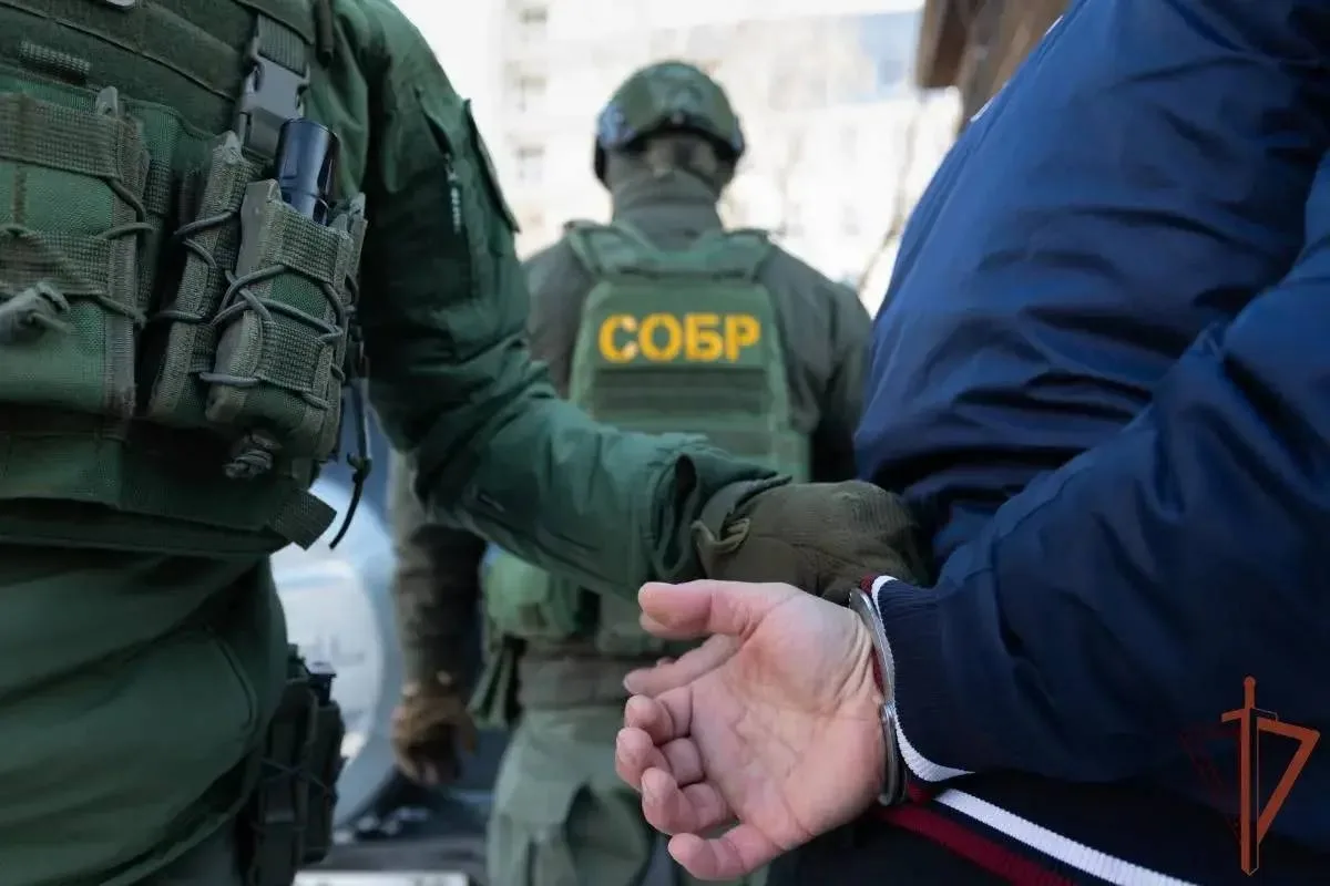 В Тольятти при силовой поддержке Росгвардии задержаны пятеро мошенников, обманувших пен...